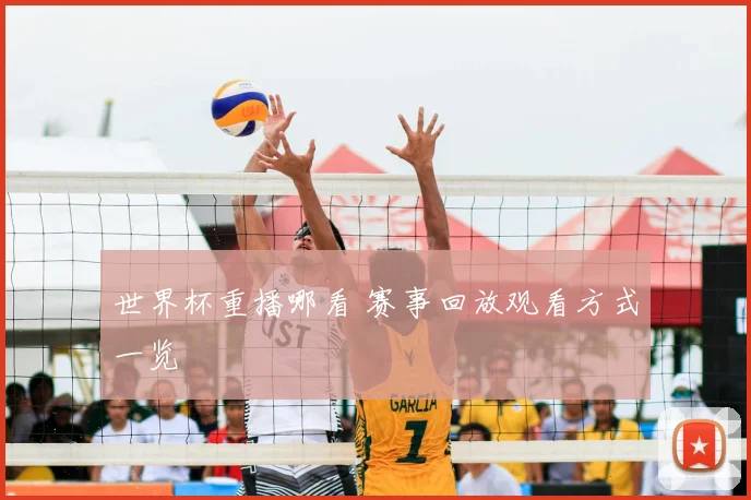 世界杯重播哪看 赛事回放观看方式一览