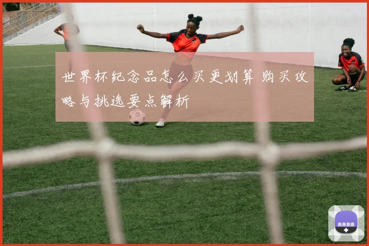 世界杯纪念品怎么买更划算 购买攻略与挑选要点解析