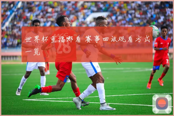 世界杯重播哪看 赛事回放观看方式一览