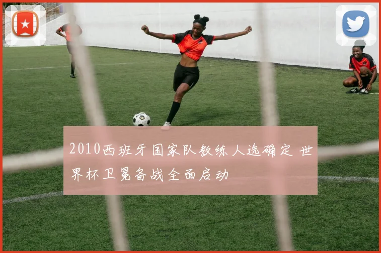 2010西班牙国家队教练人选确定 世界杯卫冕备战全面启动