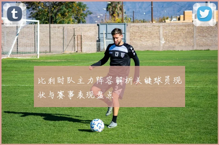 比利时队主力阵容解析关键球员现状与赛事表现盘点