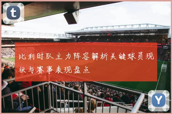 比利时队主力阵容解析关键球员现状与赛事表现盘点