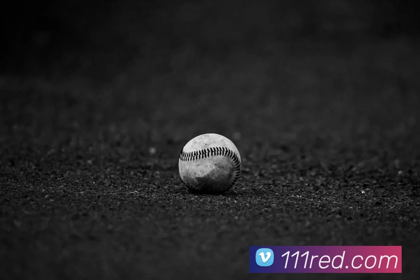 新爱体育百科平台生态图